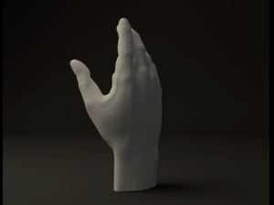 hand 3Dモデル