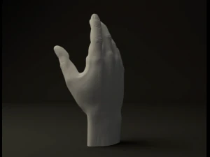 mano Modello 3D
