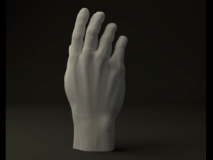 hand 3Dモデル