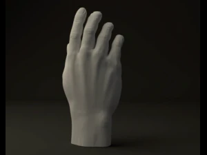 hand 3D Model