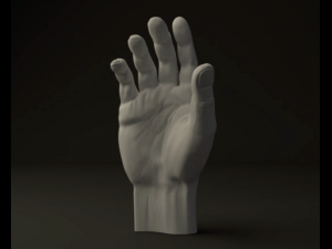 hand 3Dモデル