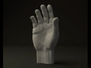 hand 3D Model