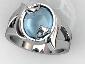 ring dolphin 3D Print Model