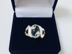 ring dolphin 3D Принт Модель