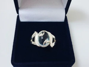 ring dolphin 3D Print Model