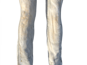 low rise jeans for women Modèle 3D