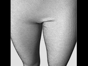 low rise jeans for women Modèle 3D