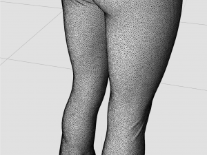 low rise jeans for women Modèle 3D