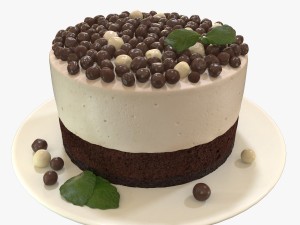 mousse cake 3D 模型