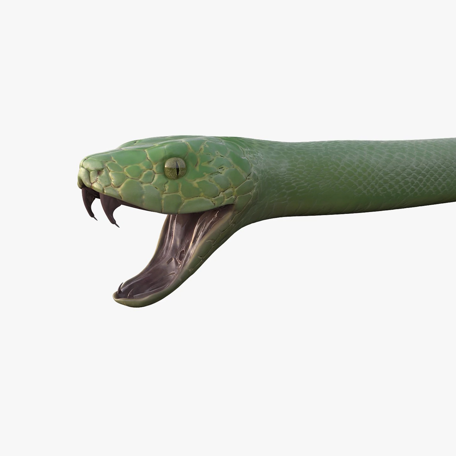 green snake 3D Model .c4d .max .obj .3ds .fbx .stl .blend 