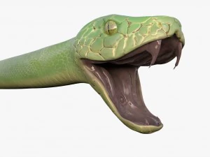 green snake 3D Model
