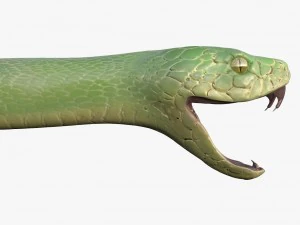 green snake 3D Model