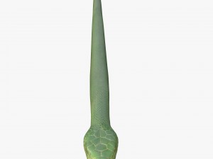 green snake 3D Model