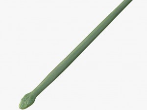 green snake 3D Model