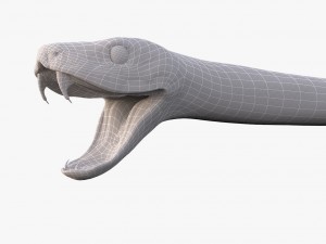 green snake 3D Model
