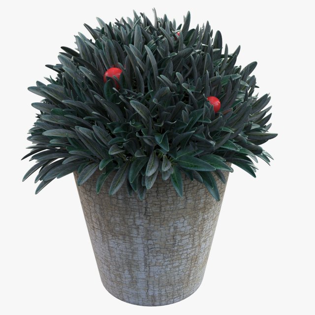 plant in a pot Model 3D .c4d .max .obj .3ds .fbx .stl .blend 