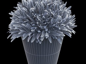 plant in a pot Model 3D