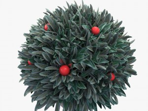 plant in a pot Model 3D