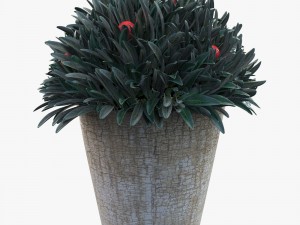 plant in a pot Model 3D