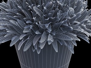 plant in a pot Model 3D