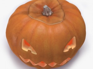 pumpkin Model 3D