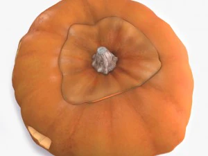 pumpkin 3D Model