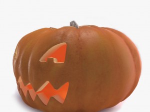 pumpkin Model 3D