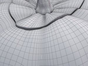 pumpkin Model 3D