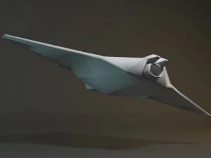 scouting flyer 3D Model