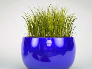 a pot of grass 3D Model