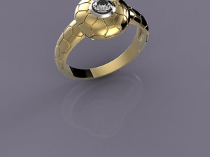 ringgeometry 3D-Druckmodell