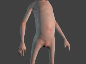 mimo 3D Model