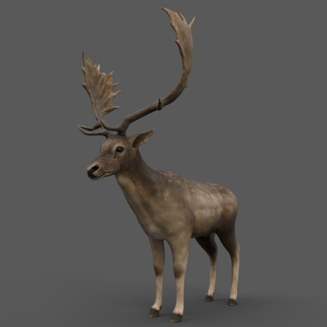 fallow deer 3D Model .c4d .max .obj .3ds .fbx .stl .blend 