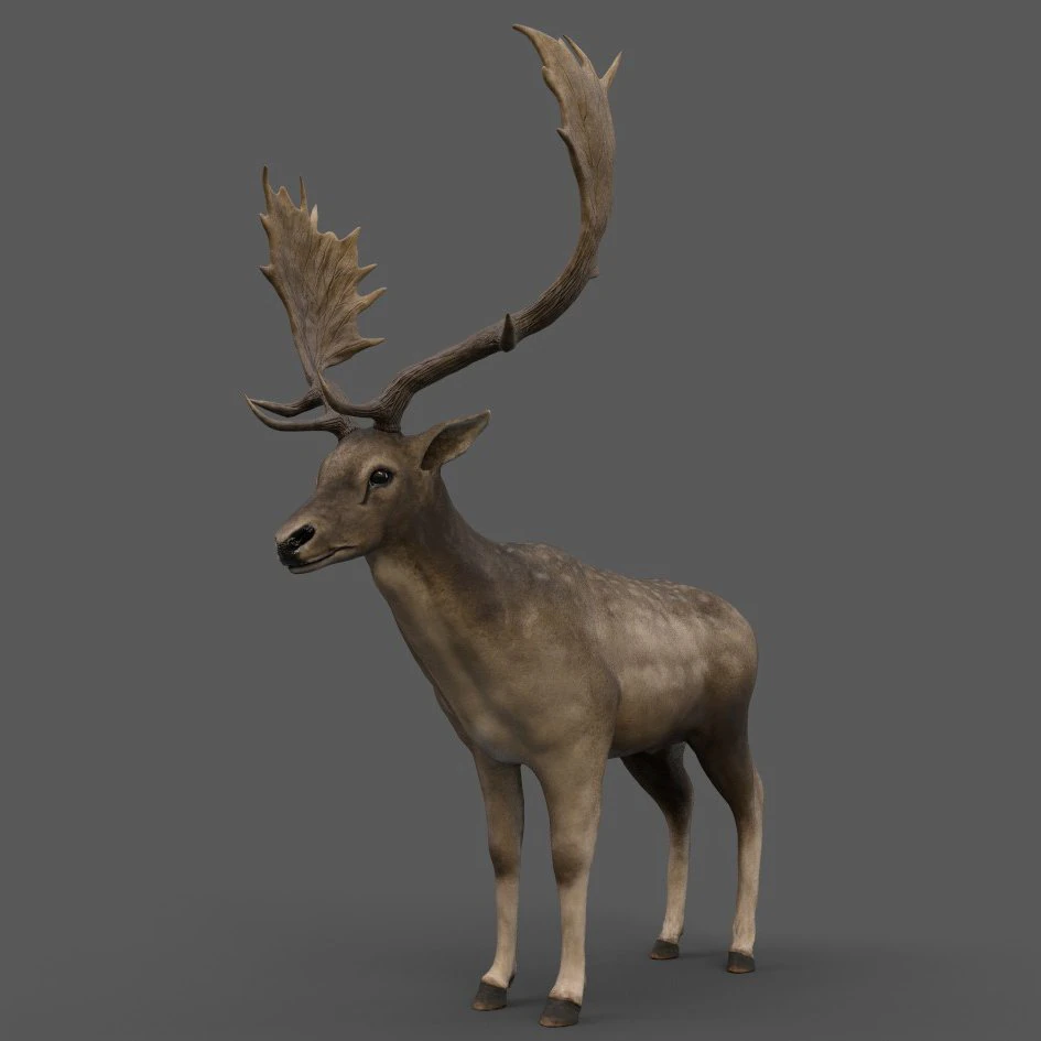 fallow deer 3D Model .c4d .max .obj .3ds .fbx .stl .blend 