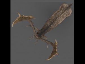 fallow deer 3D Model