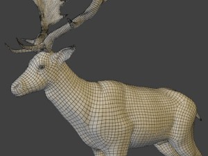 fallow deer 3D Model