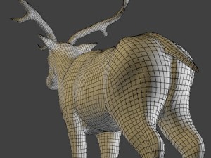fallow deer 3D Model