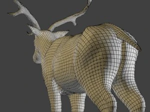 fallow deer 3D Model