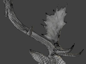 fallow deer 3D Model