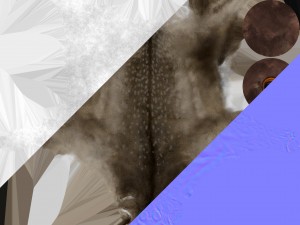 fallow deer 3D Model
