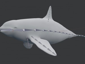 killer whale rigged Modèle 3D