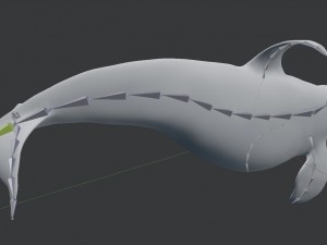 killer whale rigged Modèle 3D
