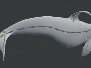 killer whale rigged 3D Model