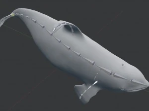 killer whale rigged 3D Model
