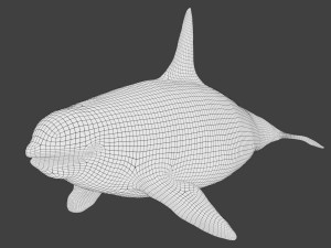 killer whale rigged Modèle 3D