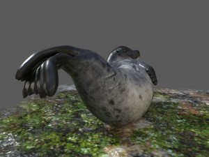 common seal rigged 3D Model