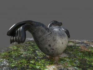 common seal rigged 3D Model