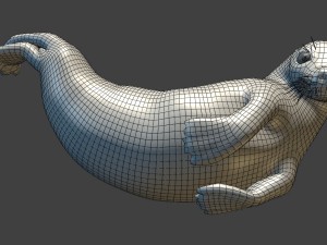 common seal rigged 3D Model