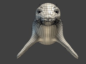 common seal rigged 3D Model