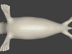 common seal rigged 3D Model